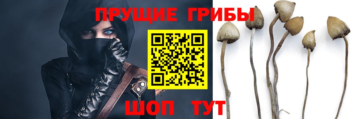 Псилоцибиновые грибы Cubensis Ханты-Мансийск